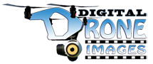 Logo_DDI_final-90